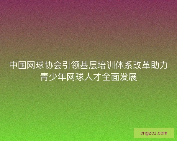 中国网球协会引领基层培训体系改革助力青少年网球人才全面发展